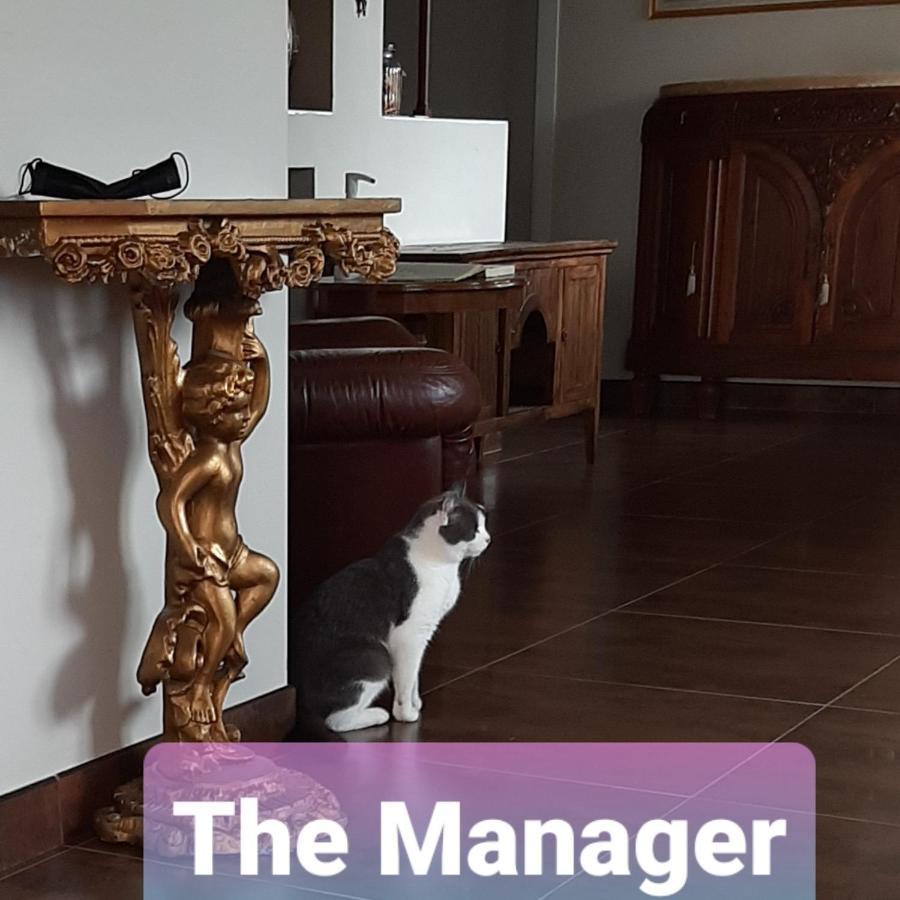 B&B La Fenice Sul Lago Villongo SantʼAlessandro エクステリア 写真